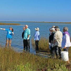 Apalachicola National Estuarine Research Reserve